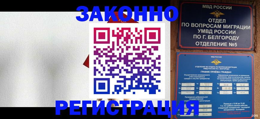 найти адрес прописки в Губкине